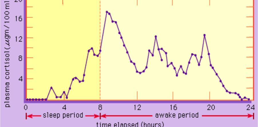 Cortisol Levels Over A 24 Hour Period cortisol-levels-over-a-24-hour-period