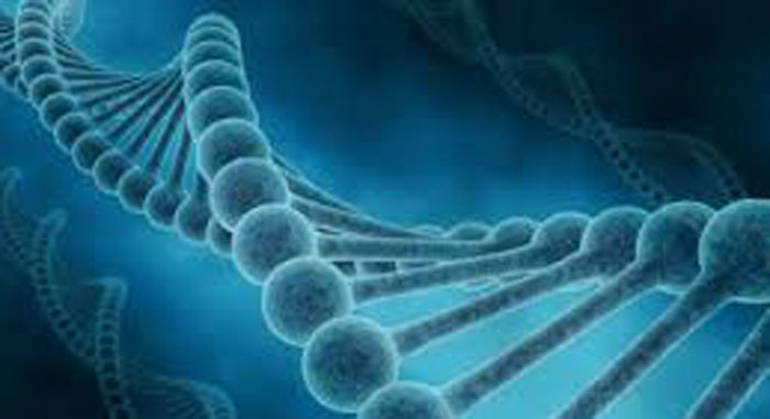 CRY1 – The First Gene Mutation for Delayed Sleep Phase Disorder Discovered!